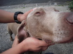 DSCN0700.JPG