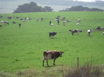 DSCN0764.JPG